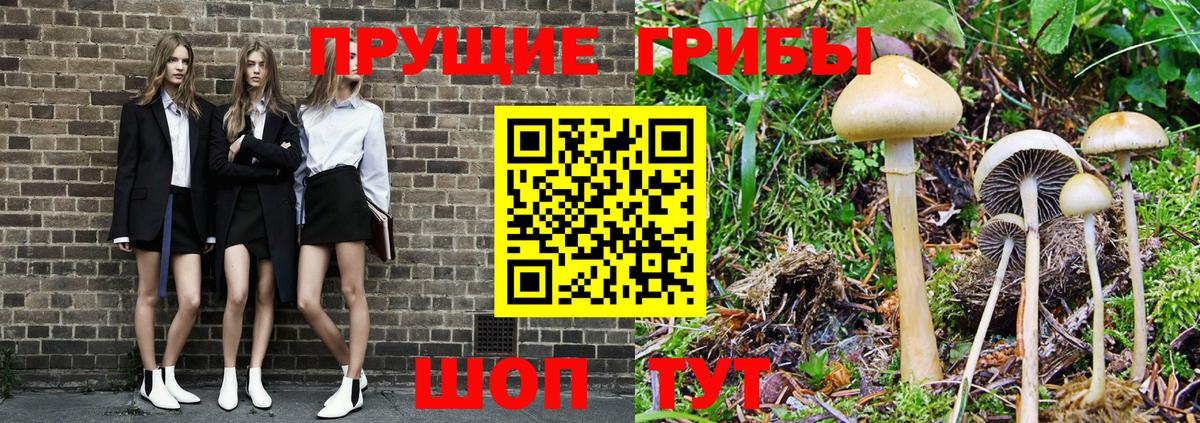 Псилоцибиновые грибы Magic Shrooms  Галлюциногенные грибы Magic Shrooms  Зима  Вход с VPN 