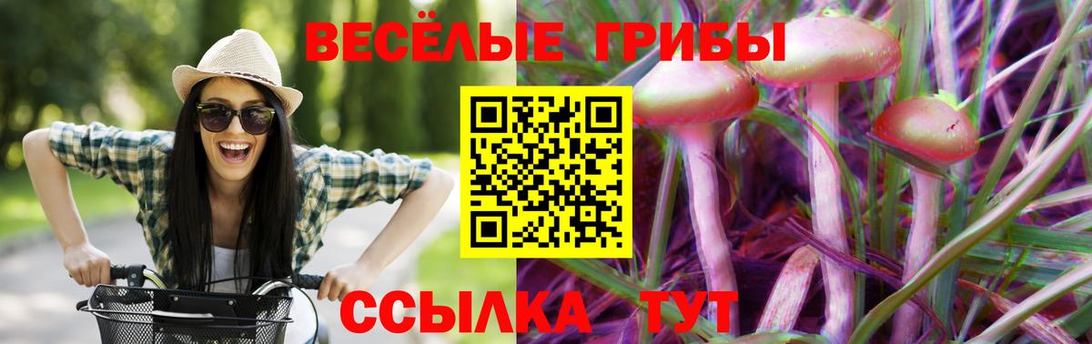 Псилоцибиновые грибы мицелий Зима